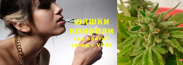 ПСИЛОЦИБИНОВЫЕ ГРИБЫ Зеленодольск