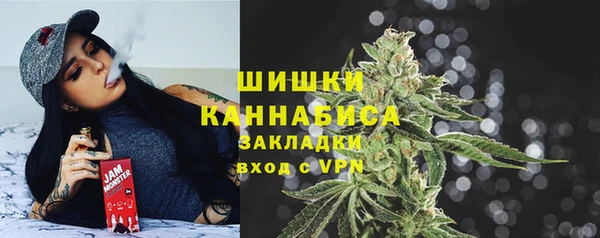 ПСИЛОЦИБИНОВЫЕ ГРИБЫ Зеленодольск