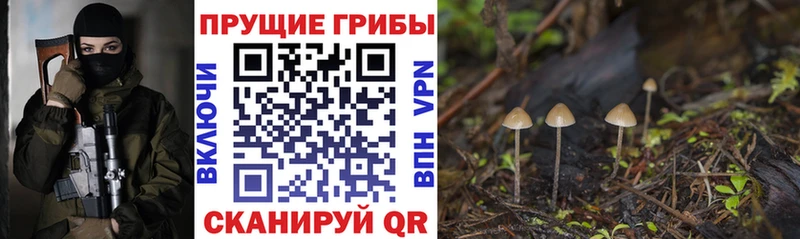 Галлюциногенные грибы Cubensis  Купить  Кирсанов 